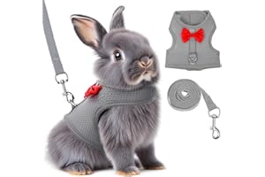 PRASACCO Bunny Harness and Leash Set, Soft Breathable Mesh Rabbit Leash Vest with Safety Buckles, Lightweight Escape-Proof Walking Gear for Rabbits, Kittens, Ferrets, Guinea Pigs, Grey M