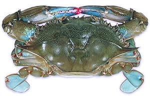 HANDY SEAFOOD Raw Domestic Soft Shell Crab Frozen (12 Ct. Whales - 1291010)