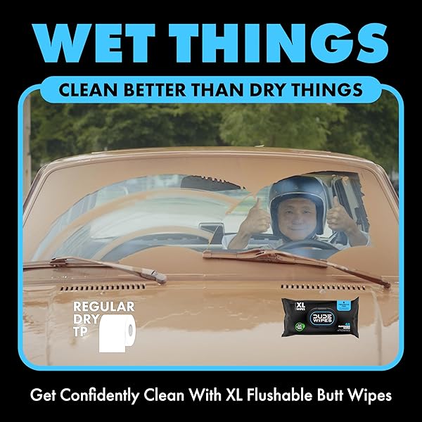 DUDE WIPES – FLUSHABLE WIPES – 2 PACK, 48 WIPES – UNSCENTED EXTRA-LARGE ADULT WET WIPES – VITAMIN-E & ALOE FOR AT-HOME USE – SEPTIC AND SEWER SAFE