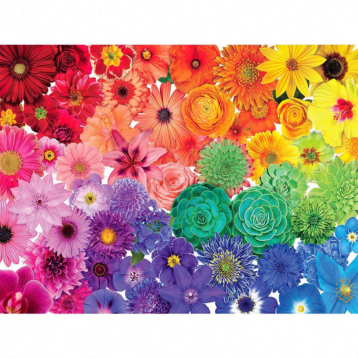 1000 Piece Puzzle- Rainbow flower - Adults Teens Kids Jigsaw Large Puzzle Toys Gift Educational Intellectual Decompressing Fun Family Game