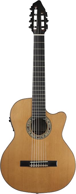 La guitarra wikipedia | Las mejores guitarras