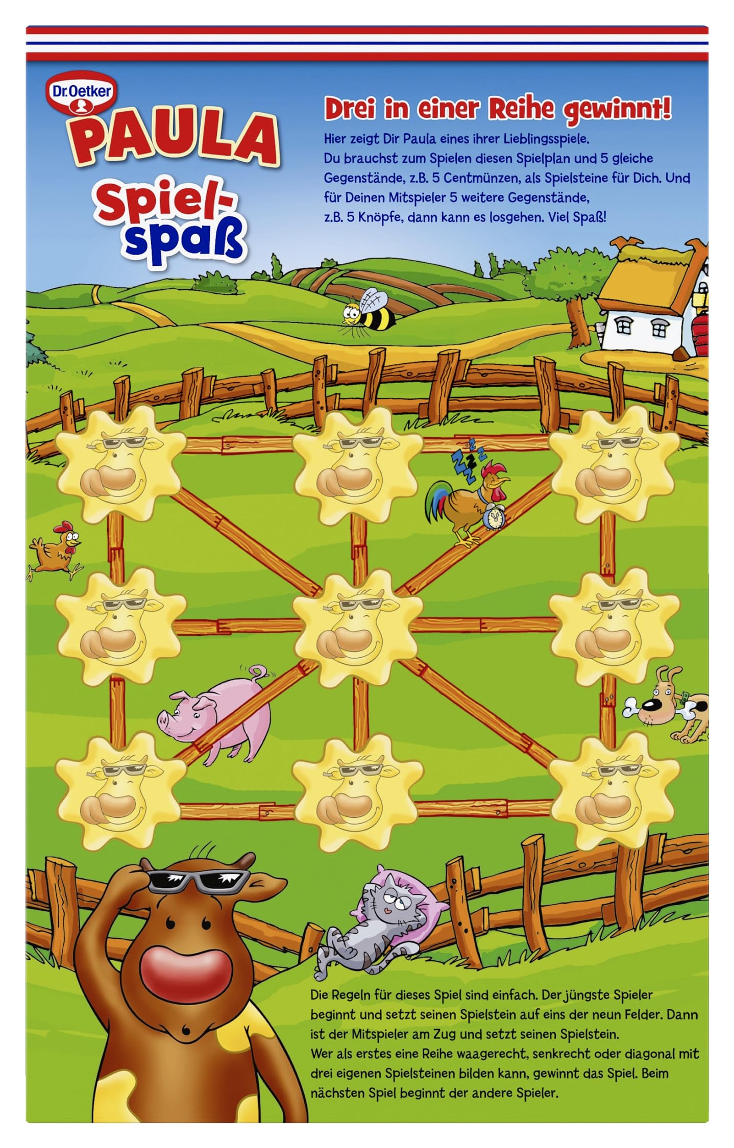 Dr. Oetker Müslispaß 4