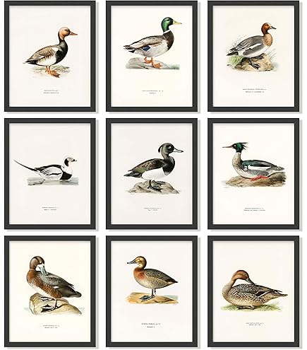 mallard duck USポスト　新品未使用 listingImage82214705-