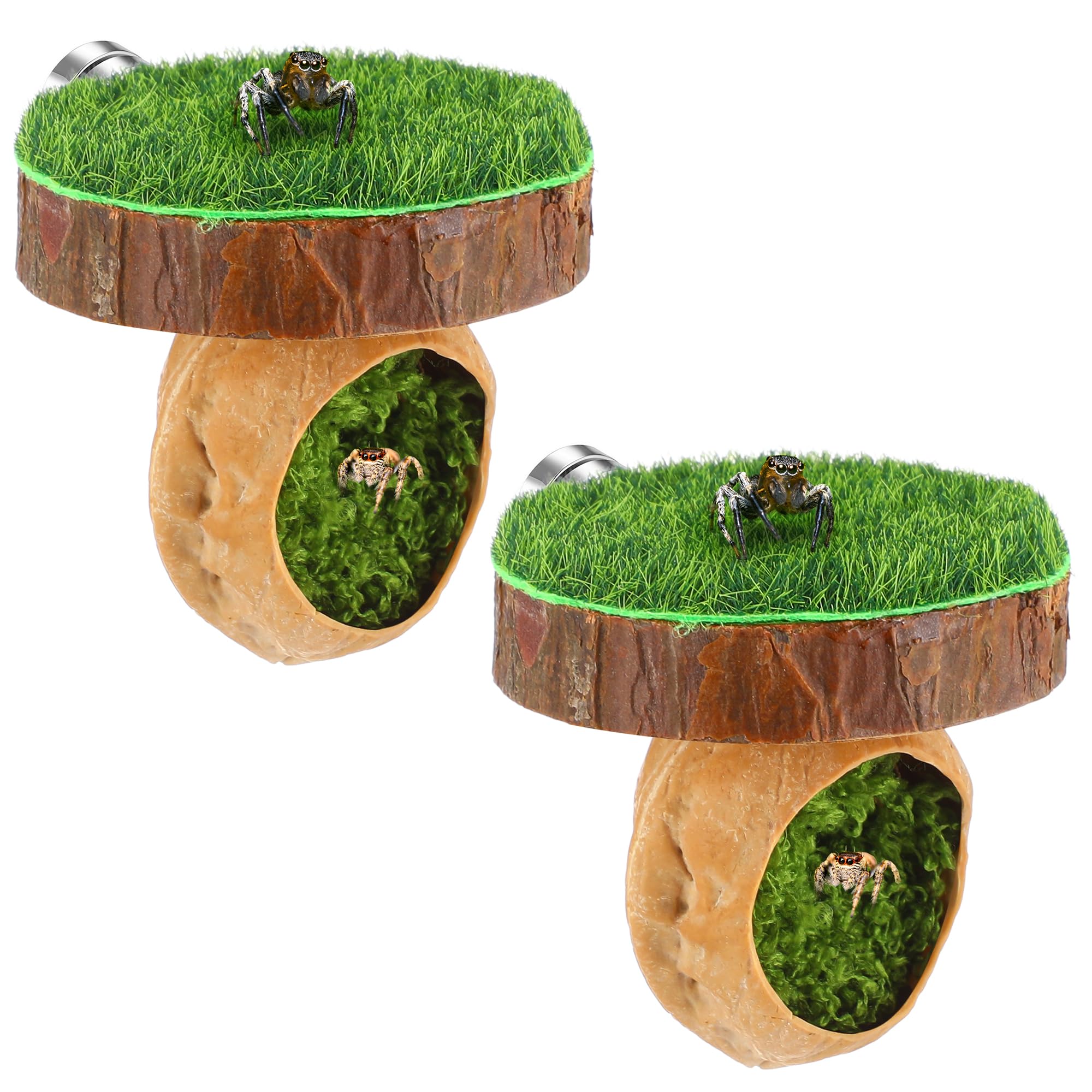 Photo 1 of 2 Pcs Jumping Spider Hideout with Magnets, Magnetic Jumping Spider Enclosure Accessories, Natural Walnut Hideout for Tarantulas, Geckos, Handmade Climbing Platform for Small Insects
