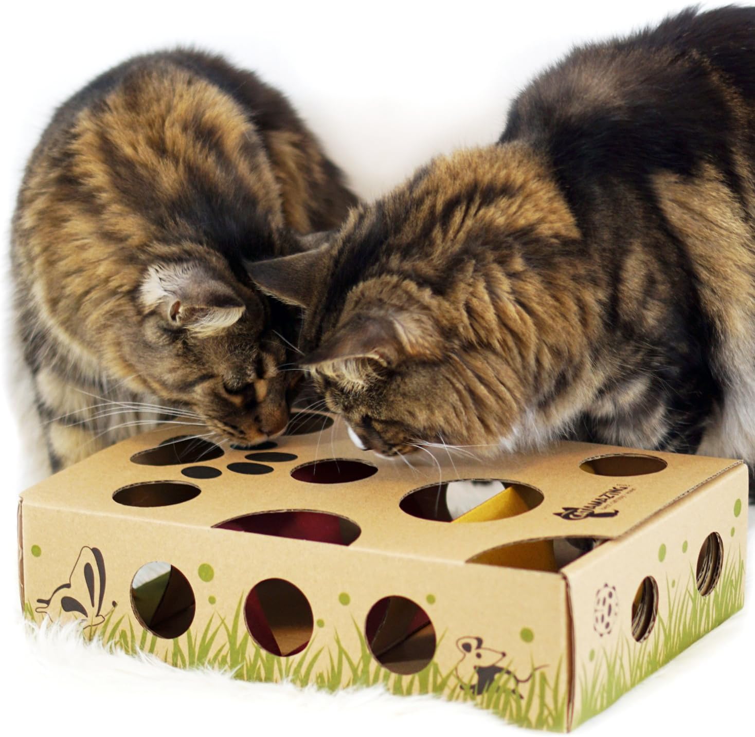 Cat Amazing – Best Cat Toy Ever! Interactive Treat Maze & Puzzle Feeder for Cats : Pet Mice And Animal Toys : Pet Supplies
