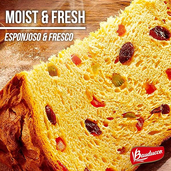 BAUDUCCO CLASSIC PANETTONE TIN – MOIST & FRESH, TRADITIONAL ITALIAN RECIPE – AUTHENTIC TASTE OF ITALY – 17.5OZ (PACK OF 1)