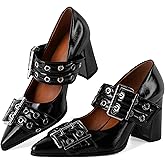 Zamikoo Women Mary Janes Chunky Heel Pumps Shoes Closed Pointed Toe Buckle Strap Slip On High Heels Dressy 3.5 Inches