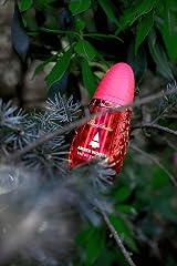 Pino Silvestre Amber Woods Eau De Toilette 125ml New view 5
