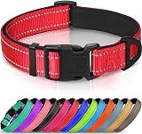 Joytale Reflective Dog Collar Neoprene Padded Nylon Small Red S