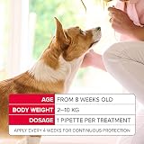 Beaphar FIPROtec COMBO Small Dogs 2–10kg 3 Pipettes Vet Strength view 4