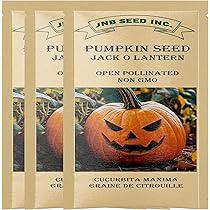 SeedsUP - 10+ Pumpkin Ornamental Decorative - Vegetable Mix