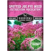 Spotted Joe Pye Weed Wildflower Seeds for Planting (1 Pack) | Eutrochium maculatum - Pink Blooms for Butterflies &amp; Bees - Perennial North American Native Flower - Survival Garden Seeds