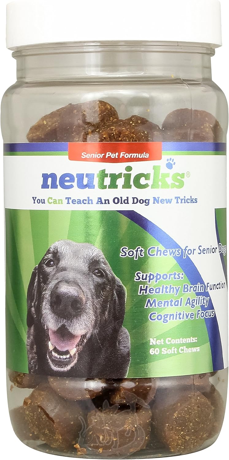 chinchilla litter pan