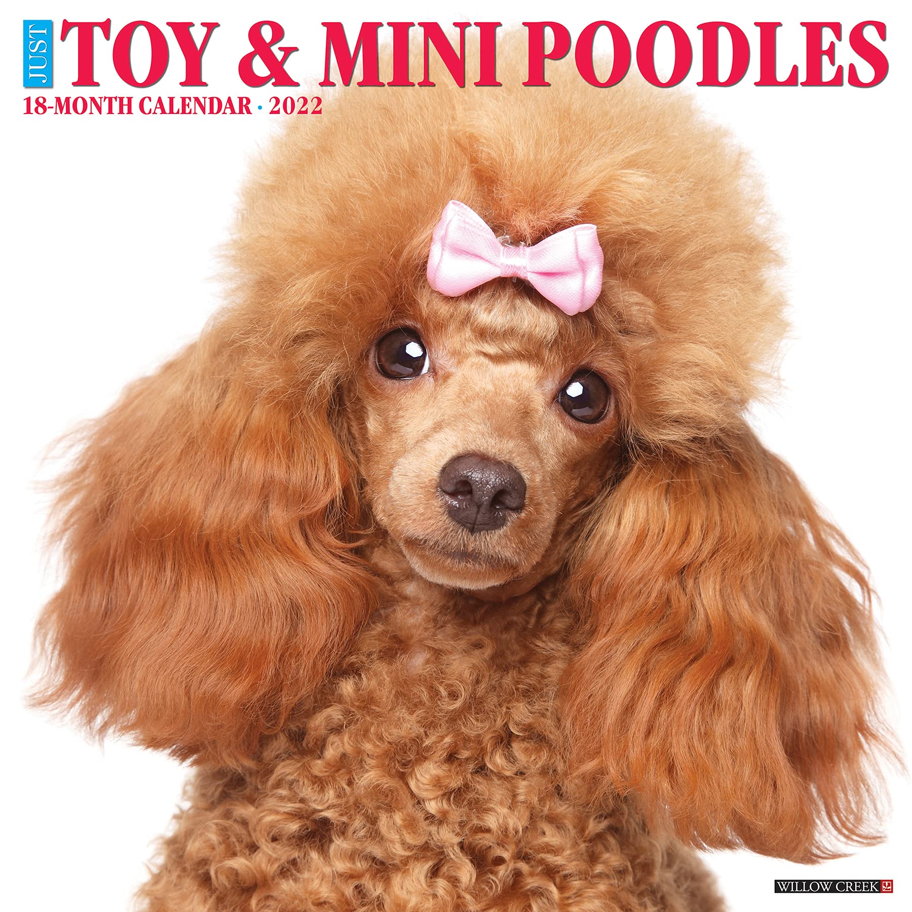 toy poodle dog breed