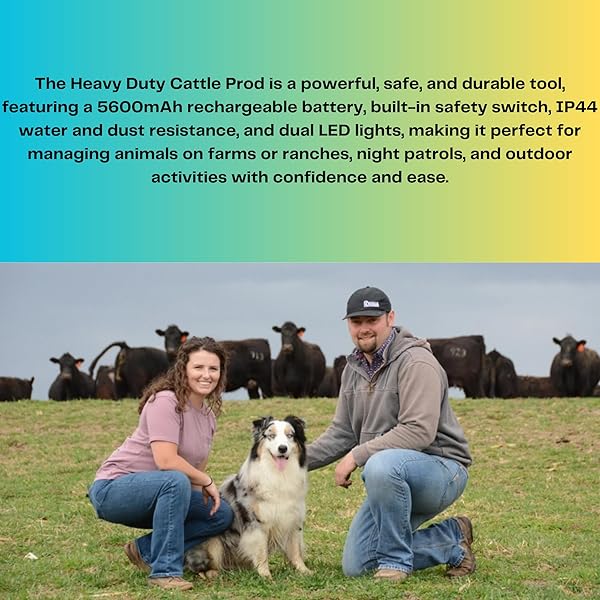 CATTLE PROD, RECHARGEABLE ELECTRIC LIVESTOCK PROD WITH 2 LED LIGHTS, WATERPROOF ANIMAL PROD FOR LIVESTOCK MANAGEMENT AND FARM RANCH HERDING, CATTLE PROD WITH FLEXIBLE SHAFT FOR COWS, HOGS, DOGS, GOATS