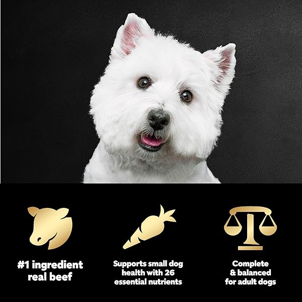 CESAR SMALL BREED DRY DOG FOOD PORTERHOUSE FLAVOR AND SPRING VEGETABLES GARNISH, 5 LB. BAG