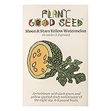 Plant Good Seed Organic Moon and Stars Yellow