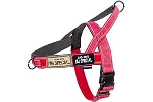 Annchwool No Pull Dog Harness with Soft Padded Handle,Reflective Strip Escape Proof and Quick Fit to Adjust Dog Harness,Easy 