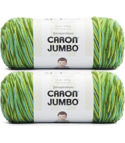 CARON Caron® One Pound™ #4 Medium Acrylic Yarn, Succulent 16oz/454g, 812