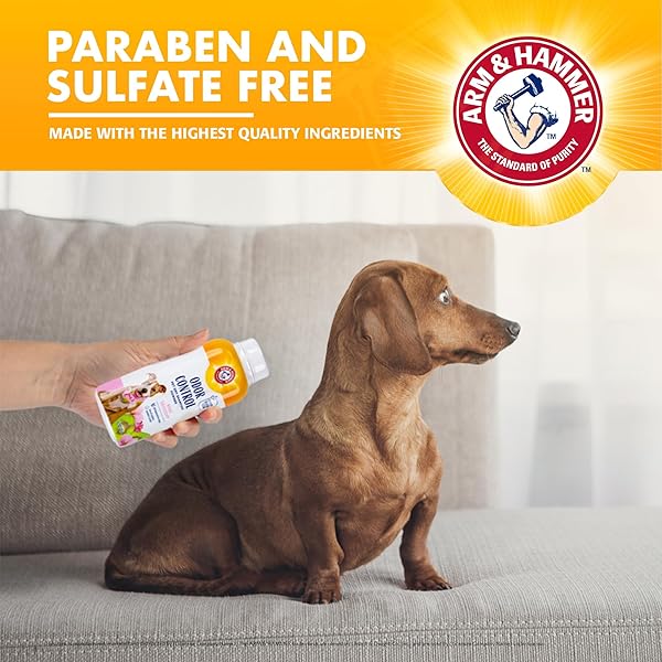 ARM & HAMMER FOR PETS ODOR CONTROL DRY SHAMPOO POWDER FOR DOGS, BEST ODOR ELIMINATING WATERLESS SHAMPOO FOR DOGS & PUPPIES, KIWI BLOSSOM SCENT, 4.2 OUNCES