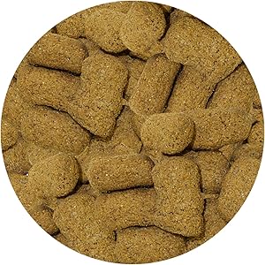 Monkey Biscuits (Standard, 3 lbs.) - Healthy & Crunchy Biscuit Treat for Prairie Dogs, Parrots, Squirrels, Sugar Gliders, Hamsters, Rats, Rodents, Amazons, Macaws, Cockatoos, Birds & Other Small Pets