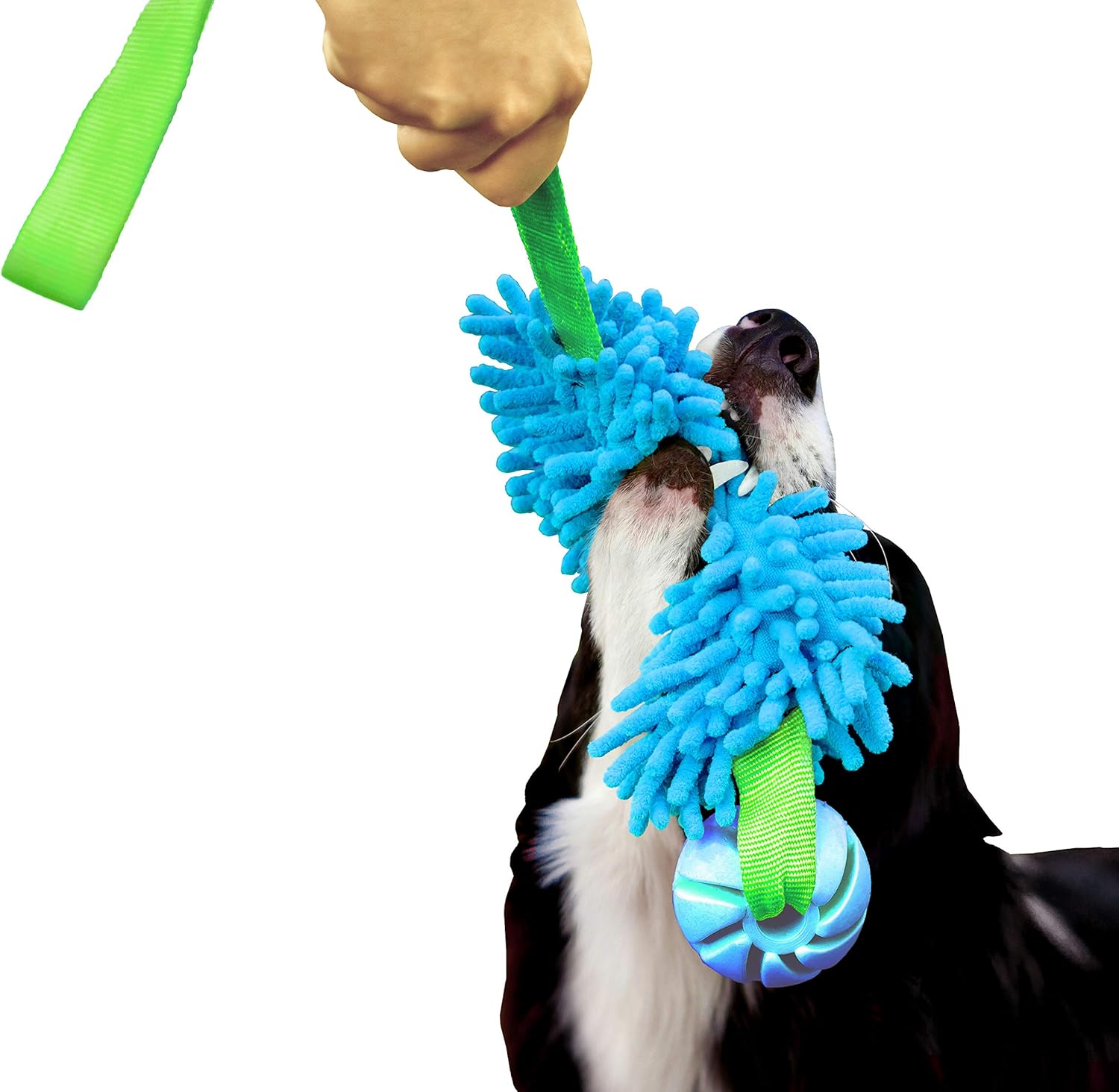 Dingo Agility Mop Bite Tug Floatable Ball Bungee Chaser Blue 15587