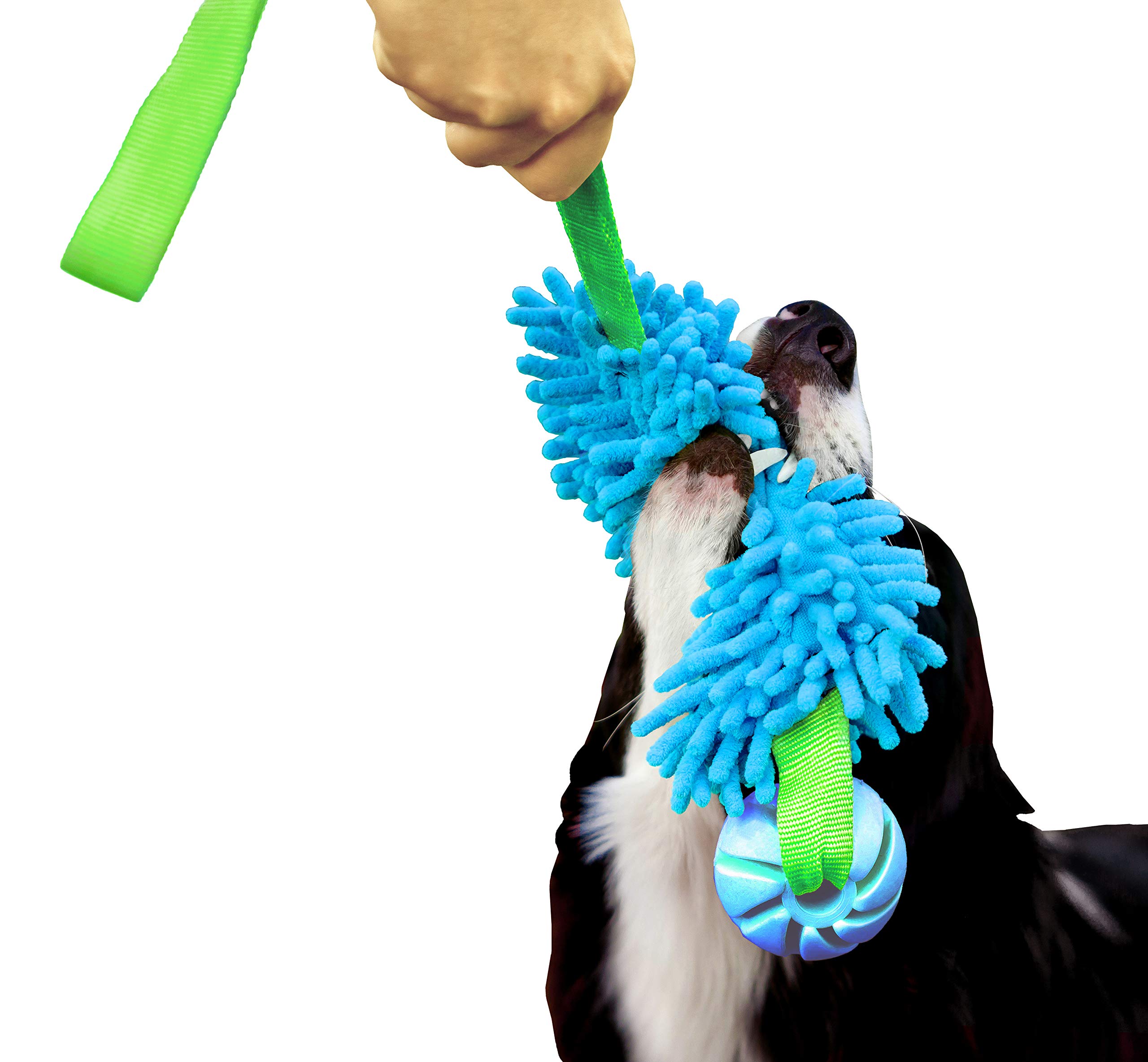 DINGO Floatable Tug Toy with a Flavoured Ball and Bungee Handle, Handmade Dog Chaser for Play, Tug of War, Agility, Fetch, Water Training, Microfiber Blue 15587-2