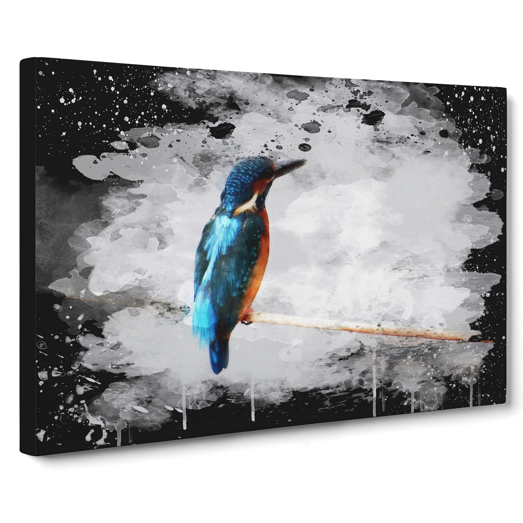 Kingfisher 2 Modern CB Canvas Print | Gallery Wrapped 30mm Frame Wall Art | 20x14 inches | Ready to Hang | Modern Bird Picture | Living Room Bedroom Lounge Office