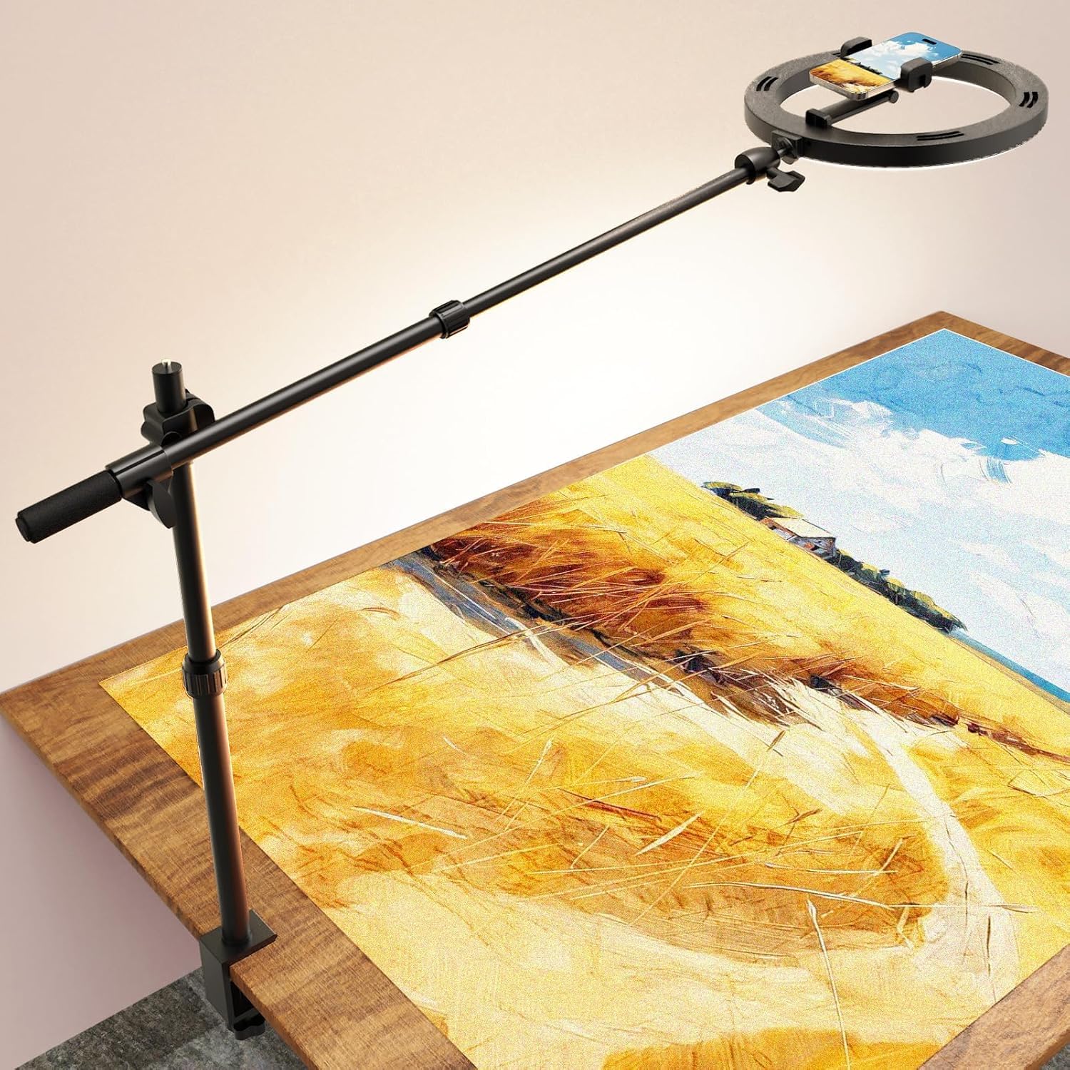 Photo 1 of Ring Light Overhead Camera Phone Mount for Desk Tripod - 10" Ring Light with Stand for iPhone - Sturdy Selfie Ringlight with Clamp for Artist,Drawing,Video Recording,Live Streaming,Content Creation