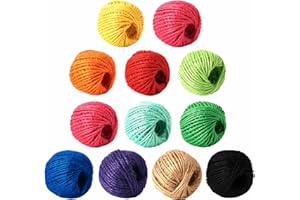 HSTECH 12 Rolls 2mm 3 ply Colorful Natural Jute String for Artworks, Handmade Crafts, Plant Hanger, Gift Wrapping String, DIY Crafts, Picture Display and Embellishments, Gardening