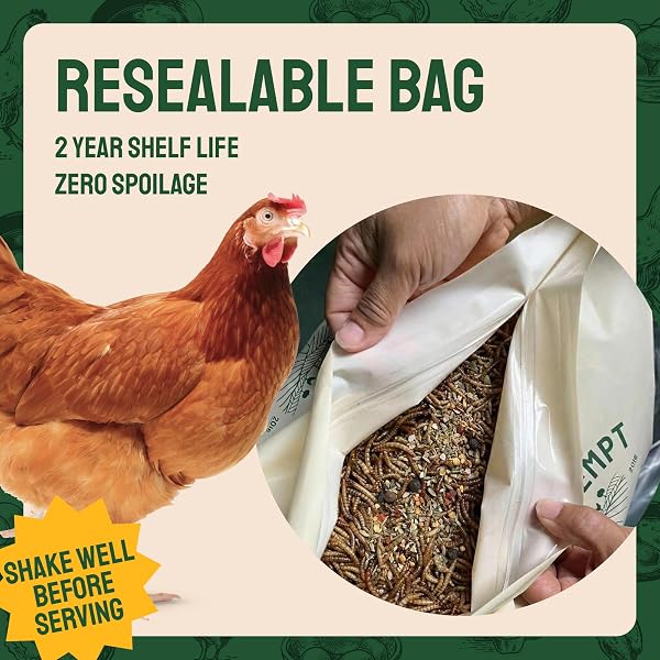 HATORTEMPT 10LB SPICED MEALWORMS FOR CHICKENS WITH DIGESTIVE MIX