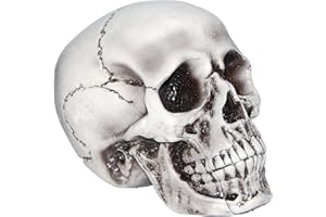 Shindigz Foam Skull Halloween Decoration