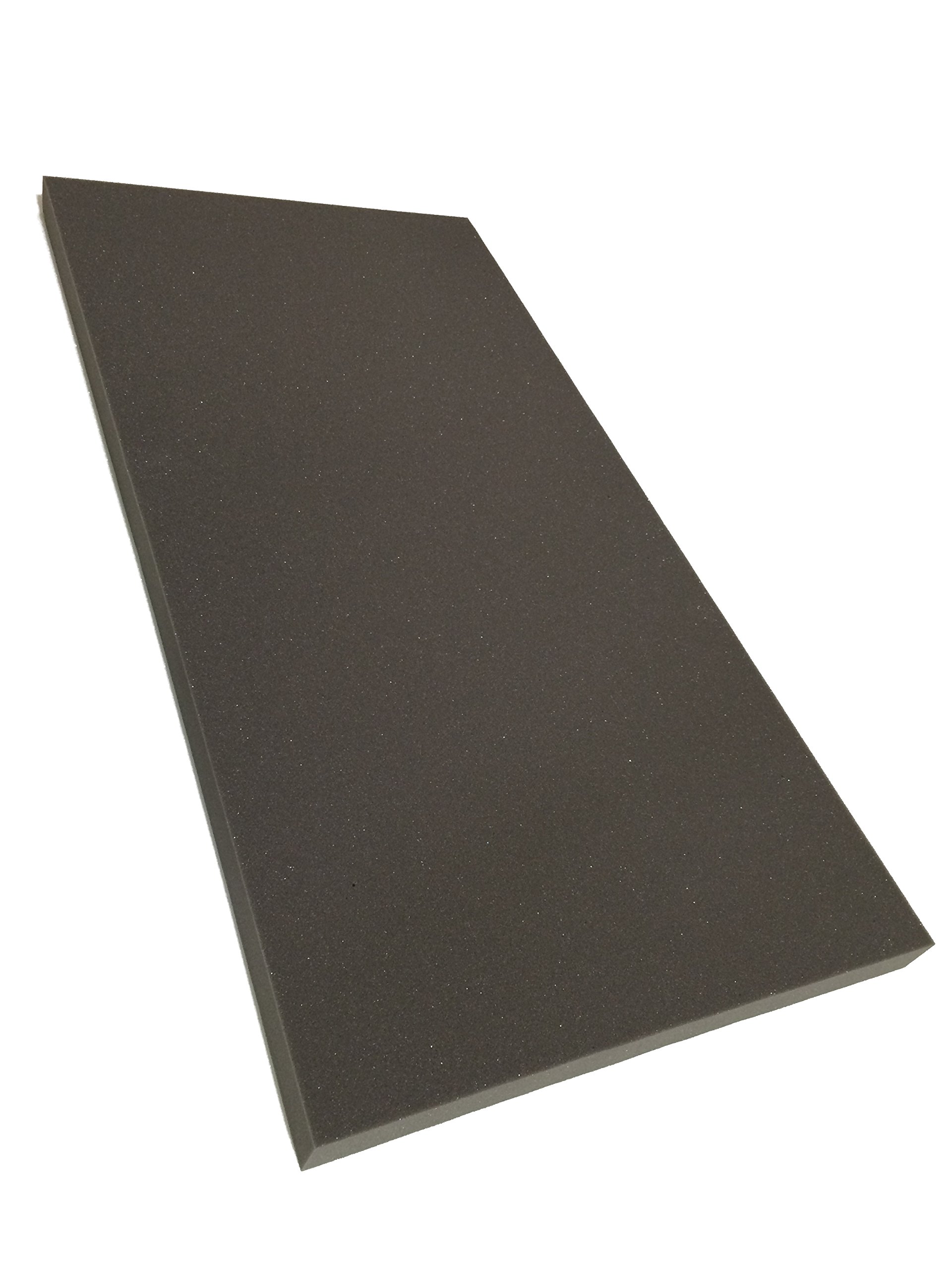 Advanced Acoustics 2" Acousti-Slab Studio Foam 2ft by 4ft Panel Acoustic Treatment