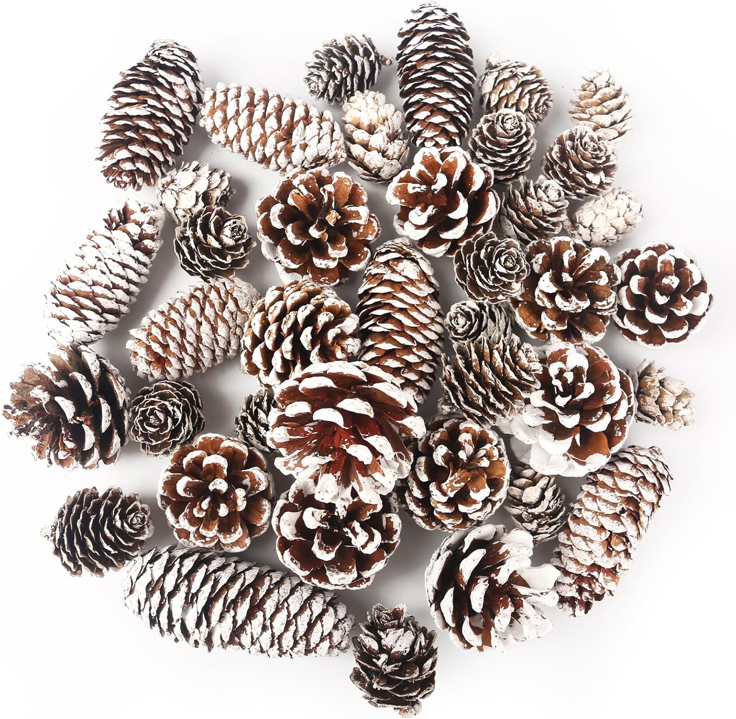 Vase Fillers - DomeStar 40PCS Snow Pine Cones for Crafts, Natural Pine Cones Christmas Pine Cone Ornaments for Xmas Tree Wreath Winter Holiday Hanging Ornaments