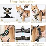 rabbitgoo Dog Harness Medium No Pull 2 Leash Clips Reflective Adjustable view 9