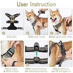 rabbitgoo Dog Harness No Pull with 2 Leash