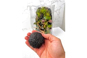 KRAFTSTORIES Terrarium Modeling Soil Mix, Glass-Adhesive, Terrarium Substrate, Adhesive Soil, Moss Wall, Vertical Natural-Looking for Miniature Scenes, Fairy Gardens & Plant Displays (8 oz)