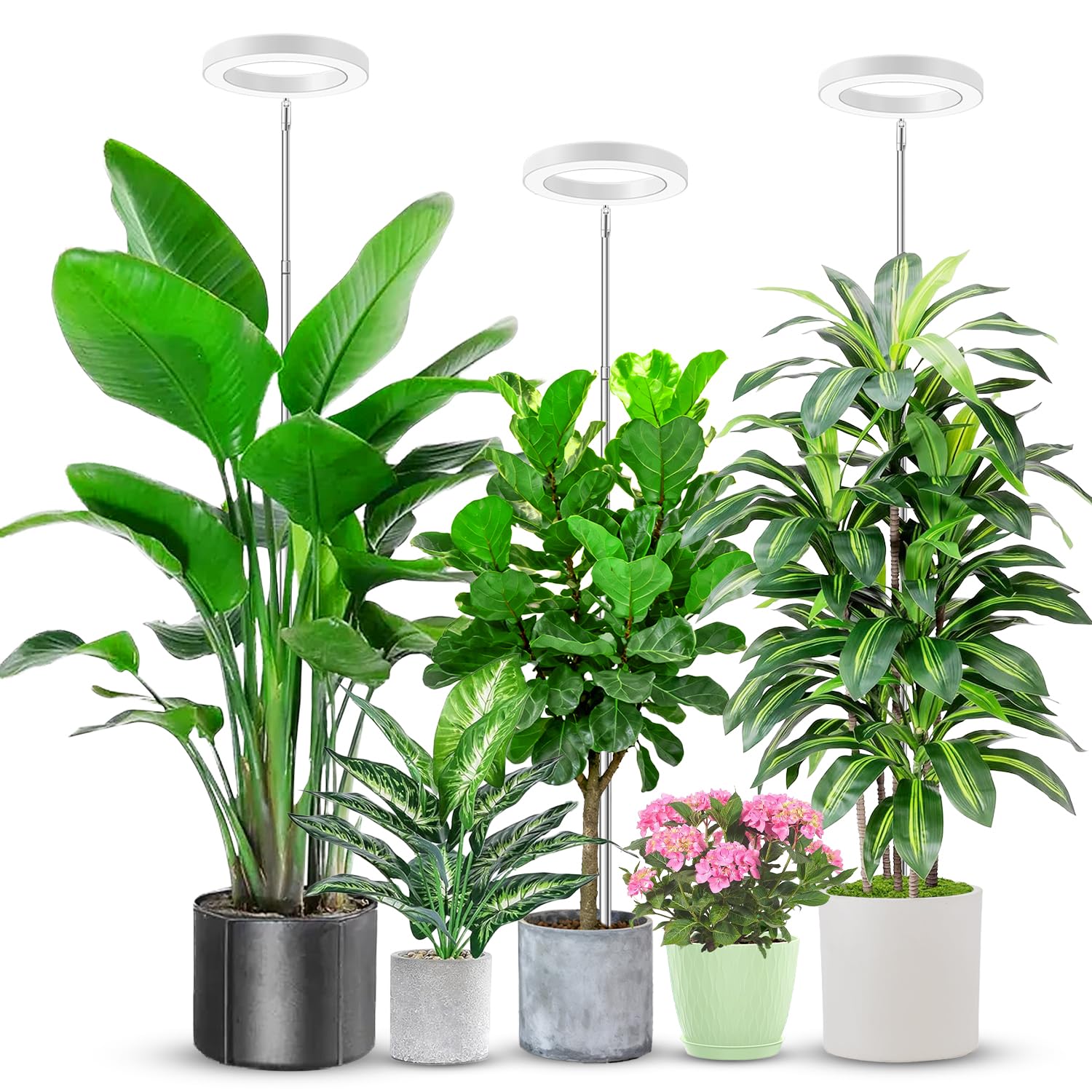 Aokrean 6.3in Grow Light, 80 LED Full Spectrum Halo Plant Lights for Indoor Growing, Height Adjustable 10"-65" Growing Lamp, Auto Timer 6/12/16Hrs, 3 Lighting Modes, Idea for Large Plant, 3 Pack Image