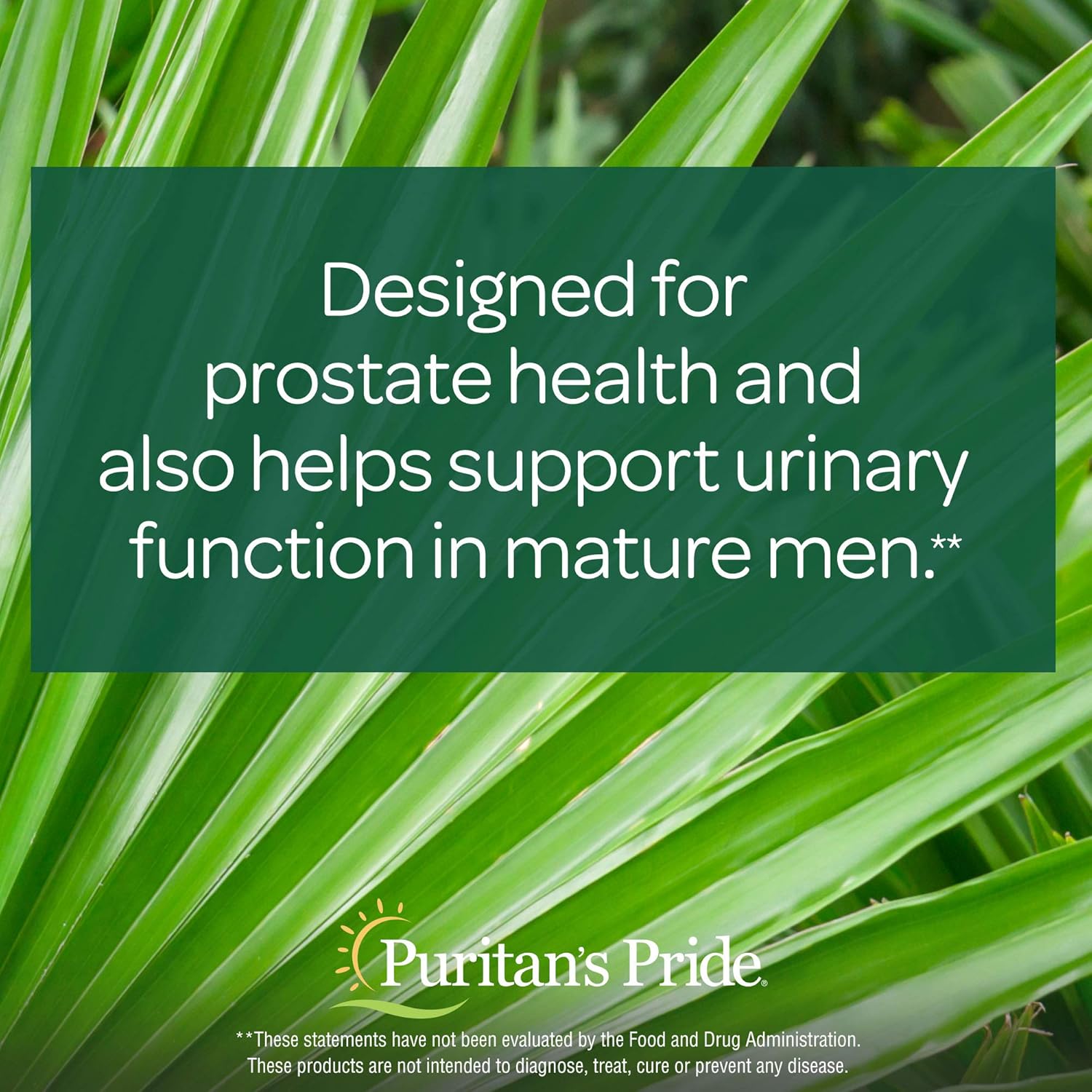 Puritans Pride Saw Palmetto 450 Mg, 200 Count: Health & Personal Care