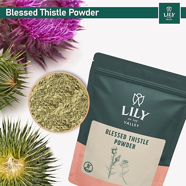LILY OF THE VALLEY BLESSED THISTLE EXTRACT POWDER – IDEAL FOR SMOOTHIES & JUICES – MILK THISTLE TEA – RICH IN SILYMARIN AND ANTIOXIDANTS – VEGAN & GLUTEN-FREE – PACKED IN RESEALABLE POUCH (16OZ, 453G)