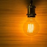 EYLM Vintage Edison Light Bulbs 4 Pack 40W E27 220V Dimmable G80 Retro Filament view 7