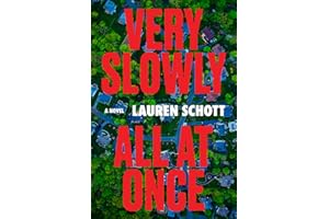 Very Slowly All at Once: A Tense Debut Thriller Full of Twists About the Danger of the American Dream that Gillian McAllister
