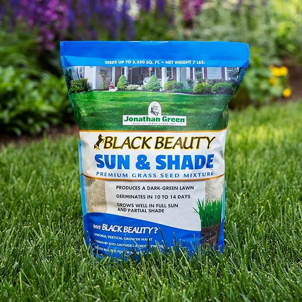 JONATHAN GREEN (12005) BLACK BEAUTY SUN & SHADE GRASS SEED – COOL SEASON LAWN SEED (7 LB)