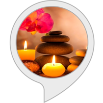 Amazon.co.uk: Alexa Skills