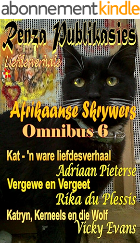 Download Afrikaanse Skrywers Omnibus 6 (Afrikaans Edition) PDF