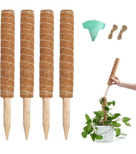 moss stick　sw58 moss stick sw58 Amazon.com : Moss Pole 56 Inch, 4 Pcs Moss Pole