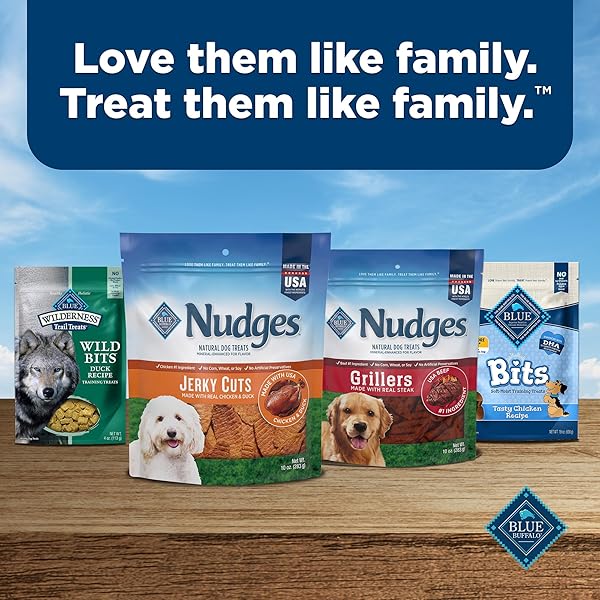 BLUE BUFFALO NUDGES JERKY CUTS NATURAL DOG TREATS CHICKEN