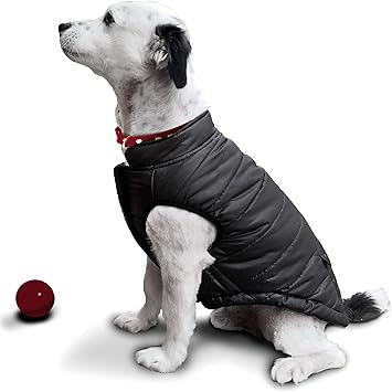 amazon uk dog coats
