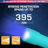 EverBrite 6 Pack UV 9 LED 395nm Blacklight Torch Flashlight Pet Urine Stain view 2