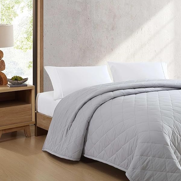 EDDIE BAUER – QUEEN SIZE BLANKET, SOFT & REVERSIBLE PLUSH BED BLANKET, BRUSHED FOR EXTRA SOFTNESS WITH A PLUSH SMOOTH TEXTURE, THROW BLANKET FOR COUCH OR BED (CLASSIC SOLID GREY)